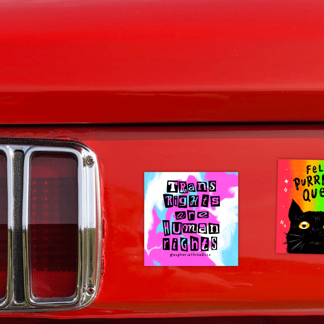 TRANS PRIDE STICKERS