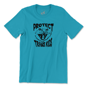 Protect Trans Kids Cat