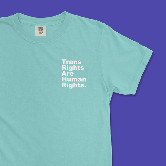 Trans Rights Are Human Rights. Period. Tee (Comfort Colors)