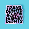 Trans Rights Tie Dye | Sticker